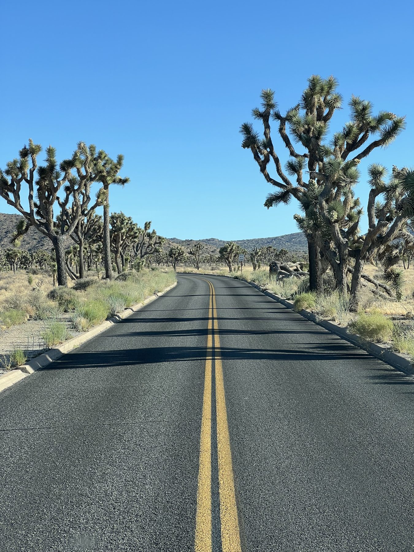 v0086 v0086